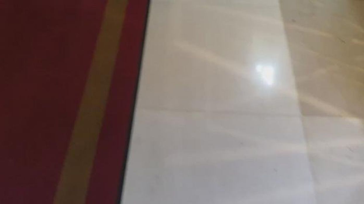 WATCH: Moment left-wing activists dump manure under The Ritz's iconic Christmas tree leaving staff horrified