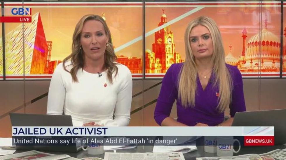 Alaa Abd El-Fattah: Jailed activist's sister says 'time is running out' as hunger strike continues