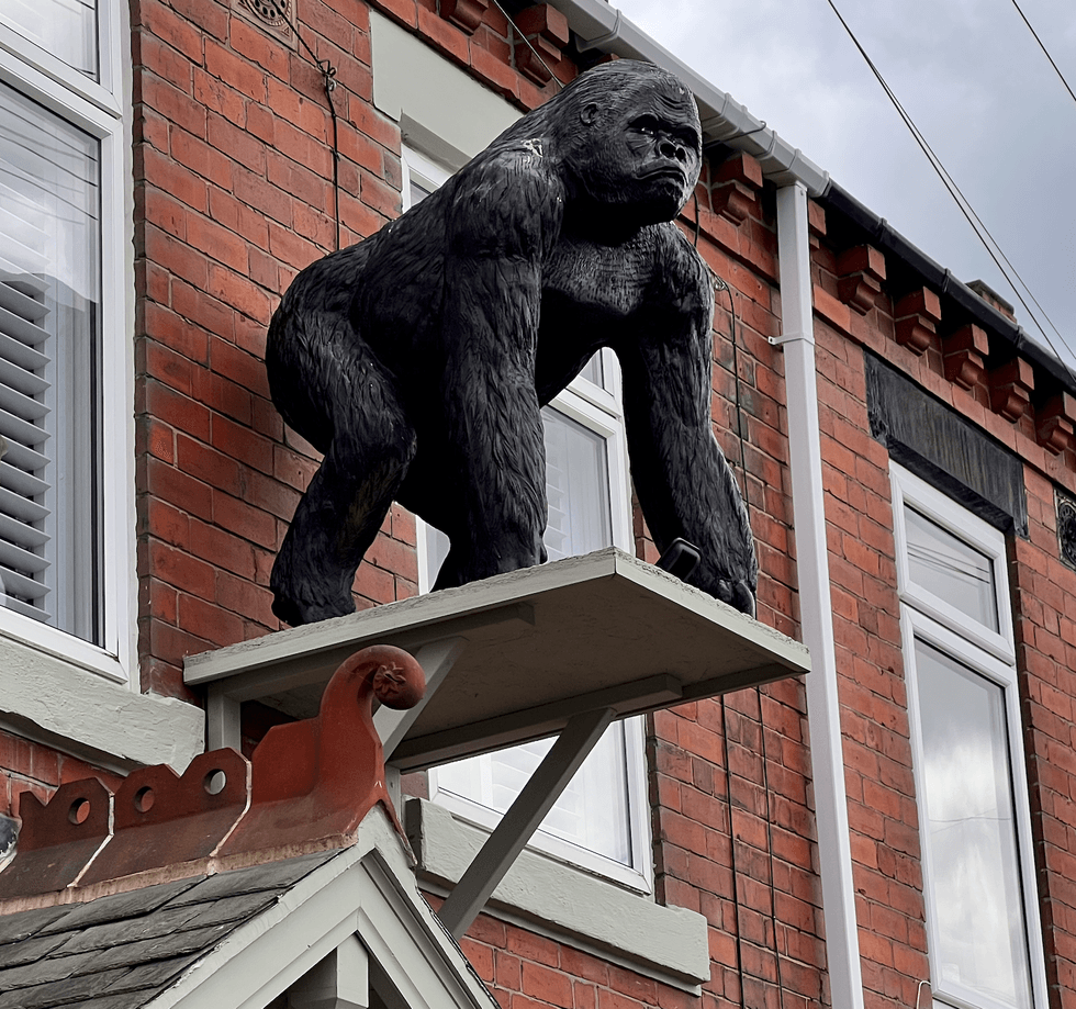 Monkey