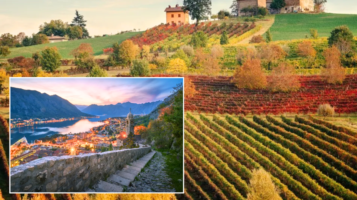 Montenegro landscape / Tuscany vineyard