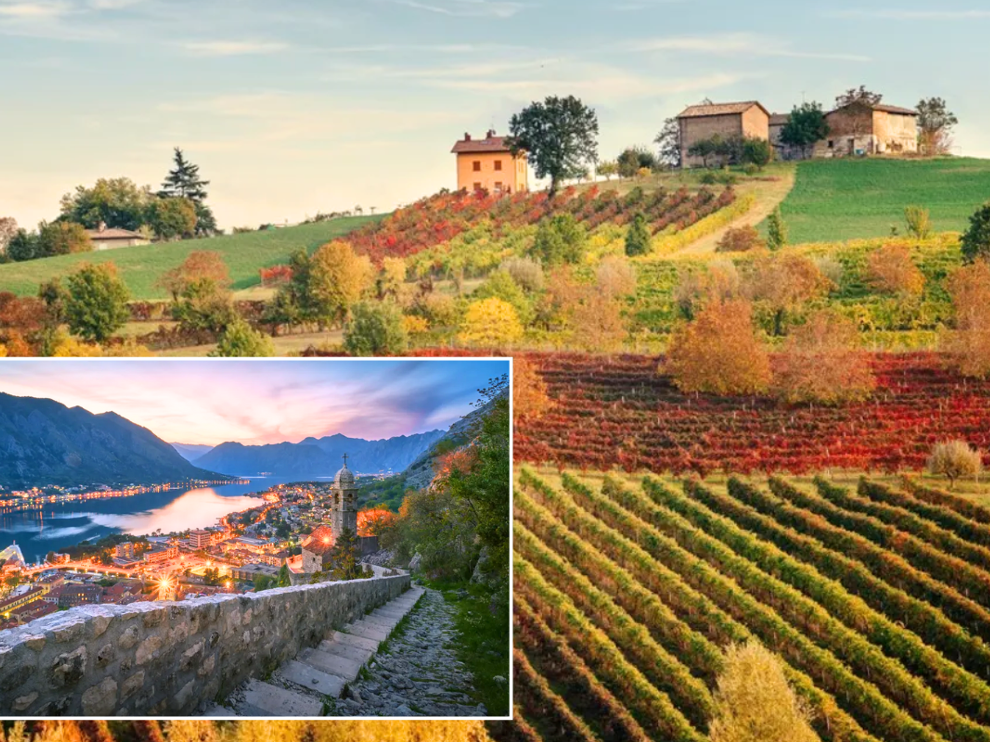 Montenegro landscape / Tuscany vineyard
