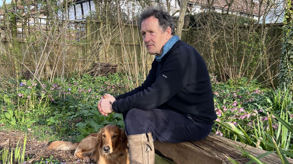 Monty Don and dog Ned