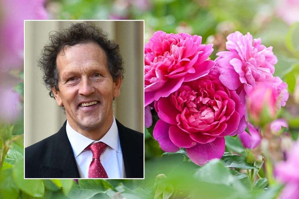 Monty Don and roses