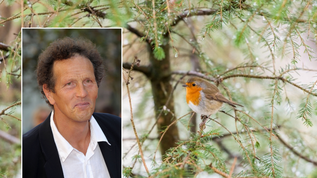 Monty Don bird in garden