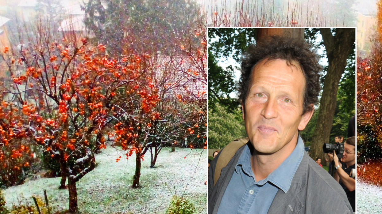 Monty Don Garden covered in frost
