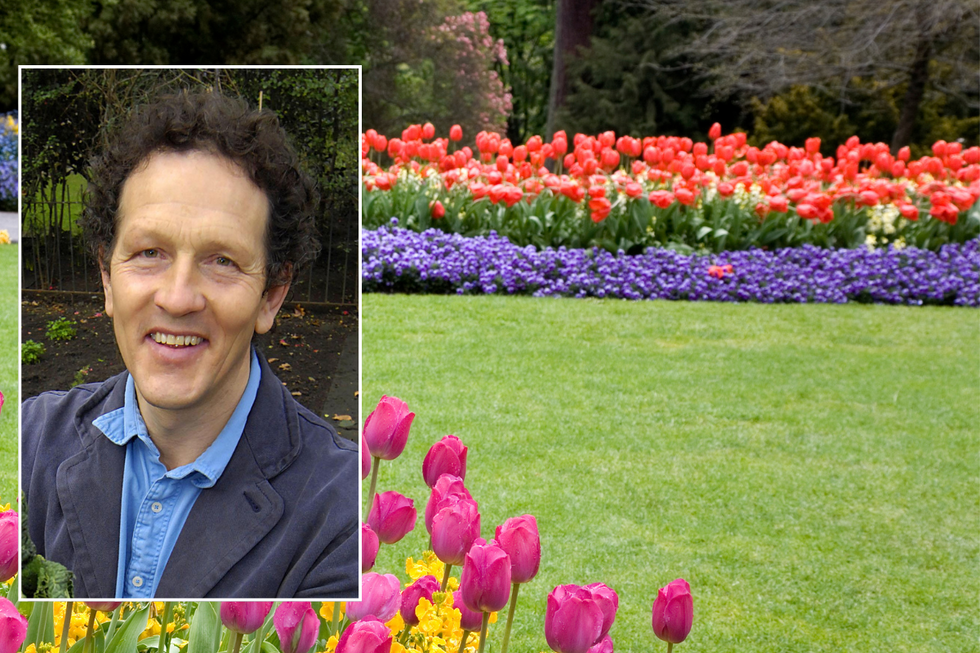 Monty Don / Garden lawn