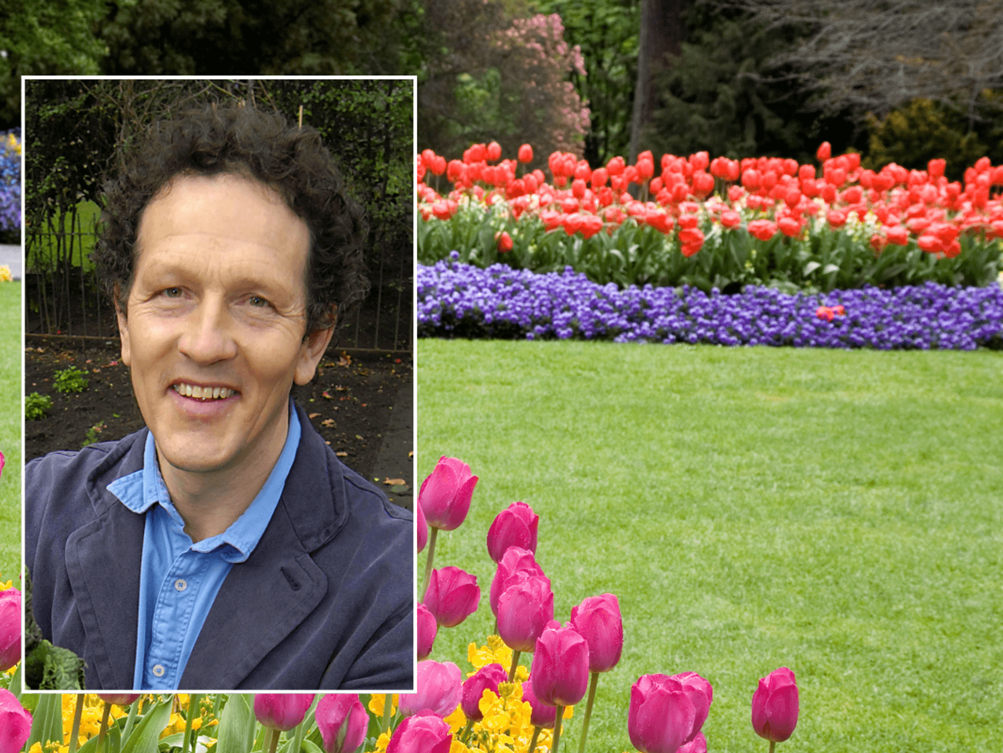 Monty Don / Garden lawn