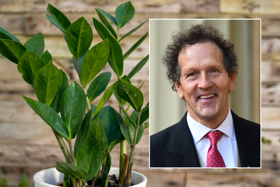 Monty Don / houseplant