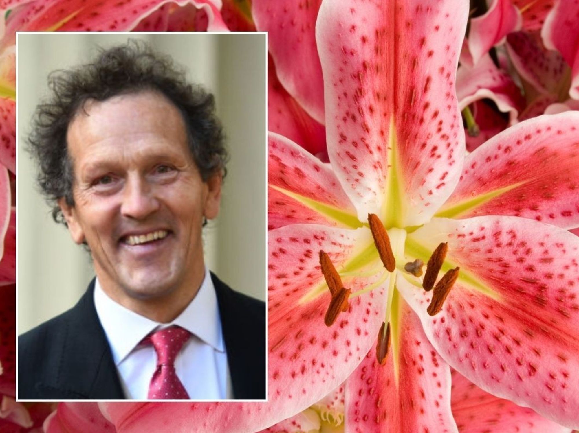 Monty Don / Lilies