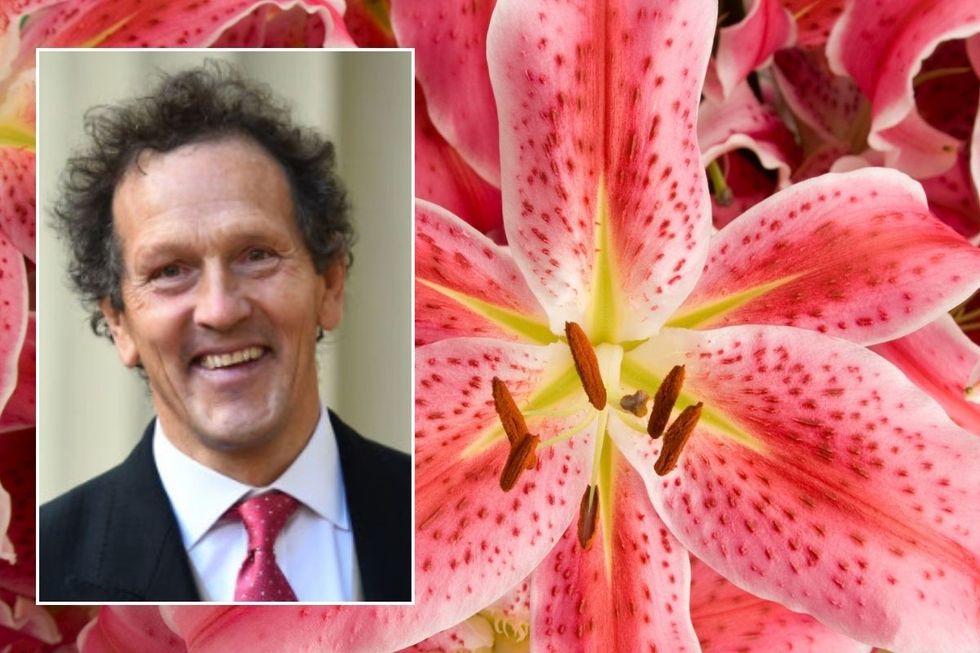Monty Don / Lilies