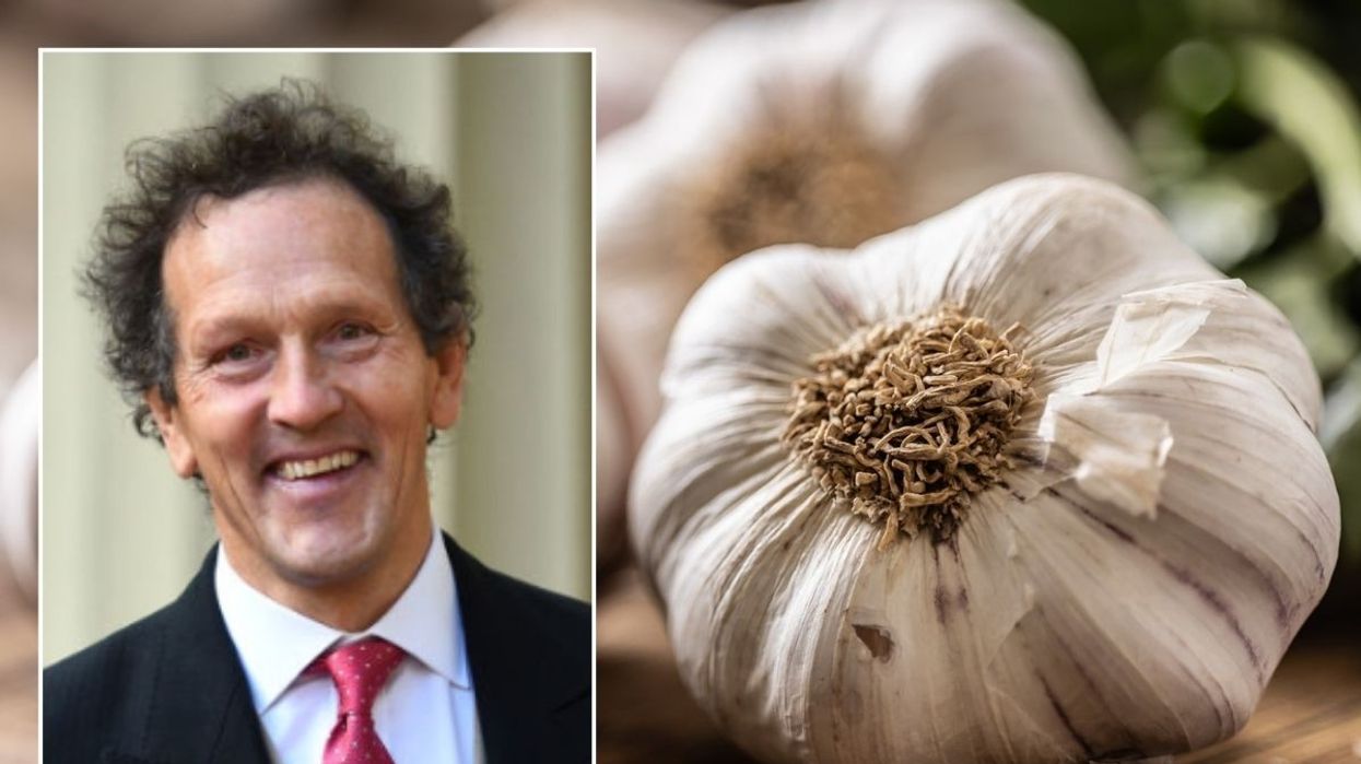 Monty Don / Unpeeled garlic