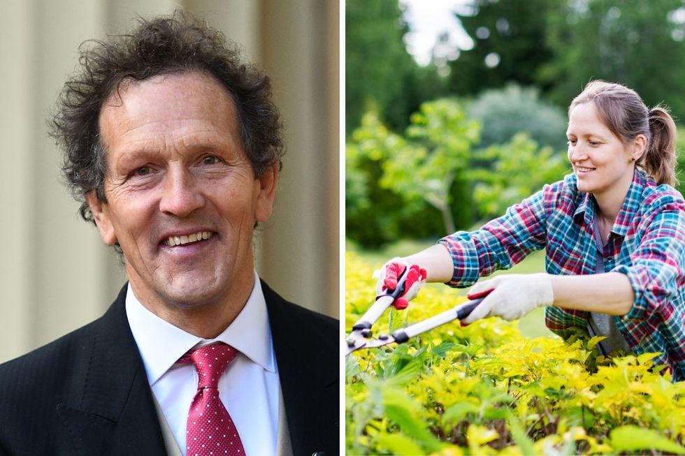 Monty Don / Women trimming a hedge