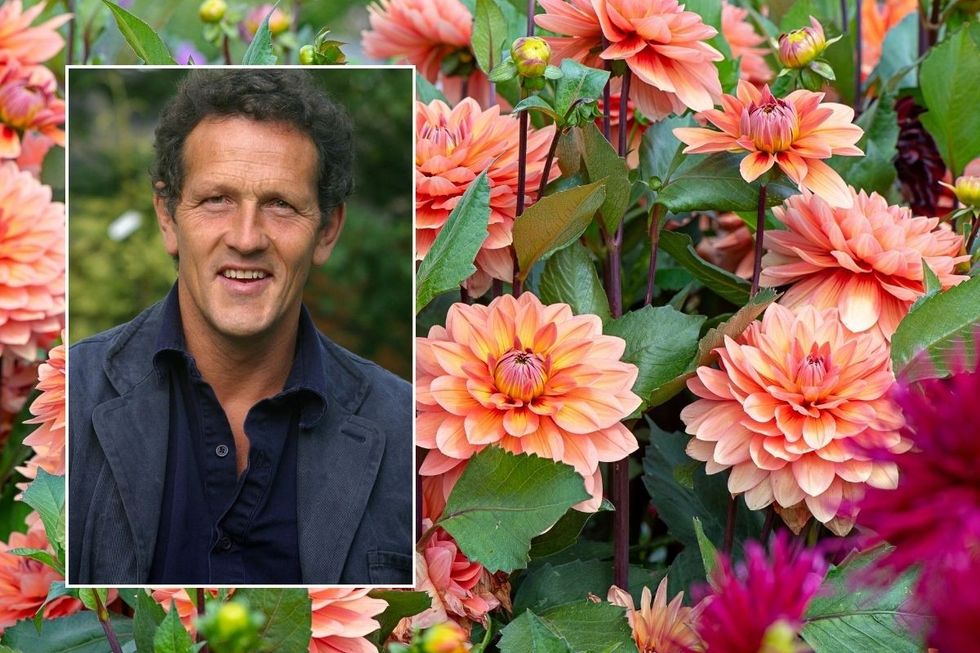 Monty Don