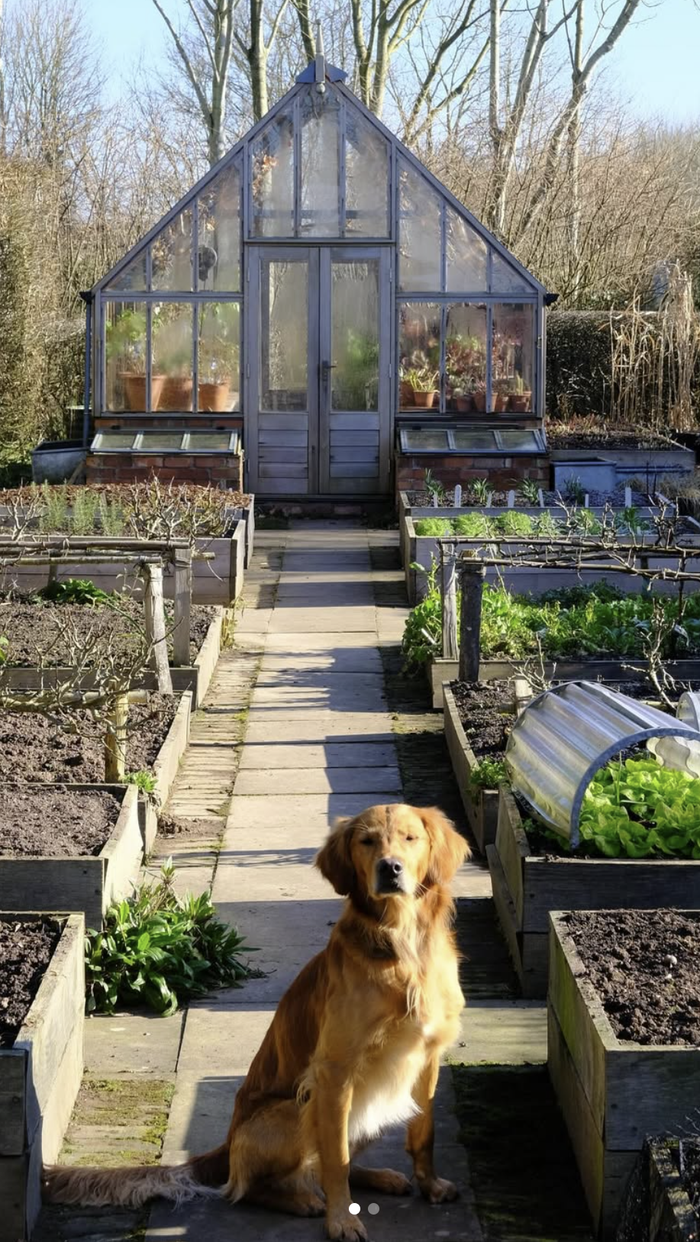 Monty Don