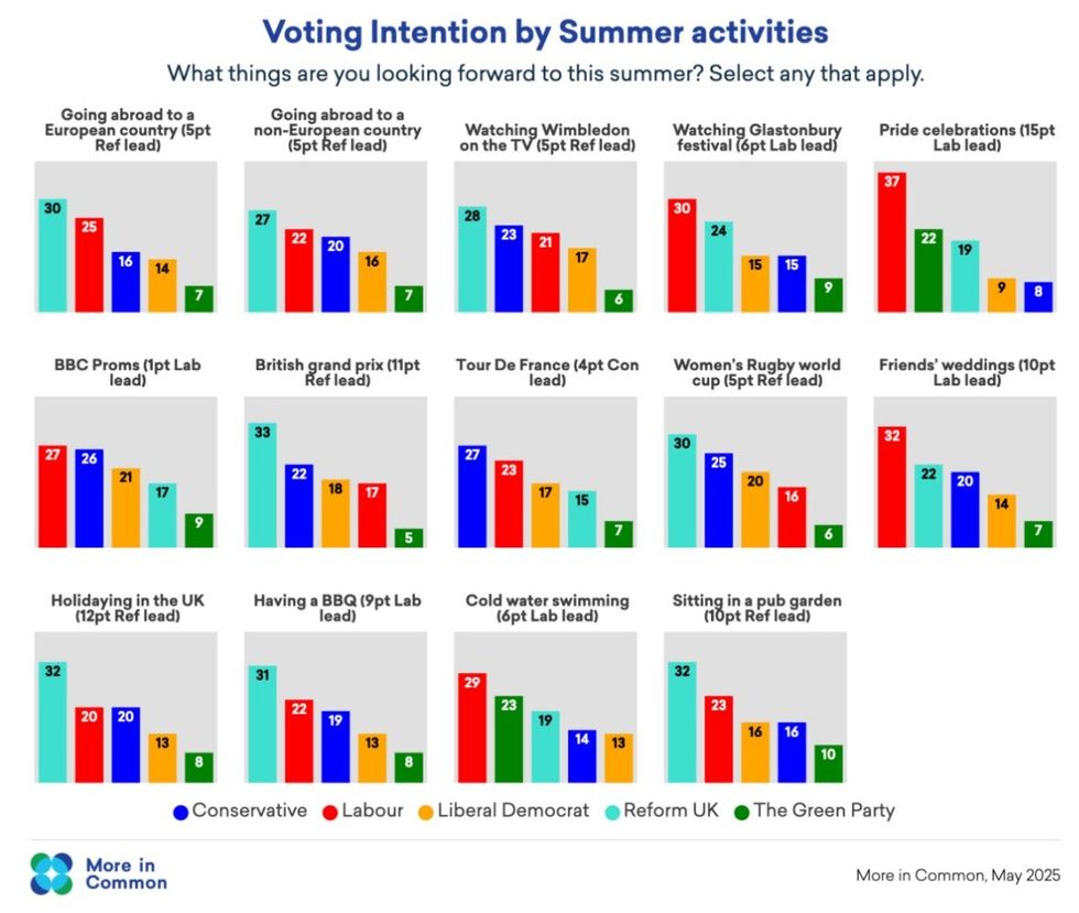 More In Common summer poll