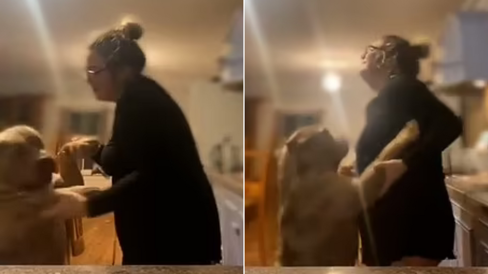 Morley dances with XL Bully