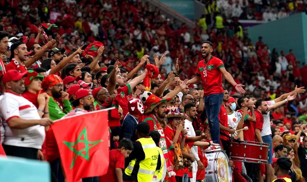 Morocco have been accused of shooting dogs in the street