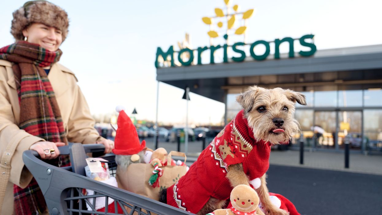 Morrisons Christmas Pet Range