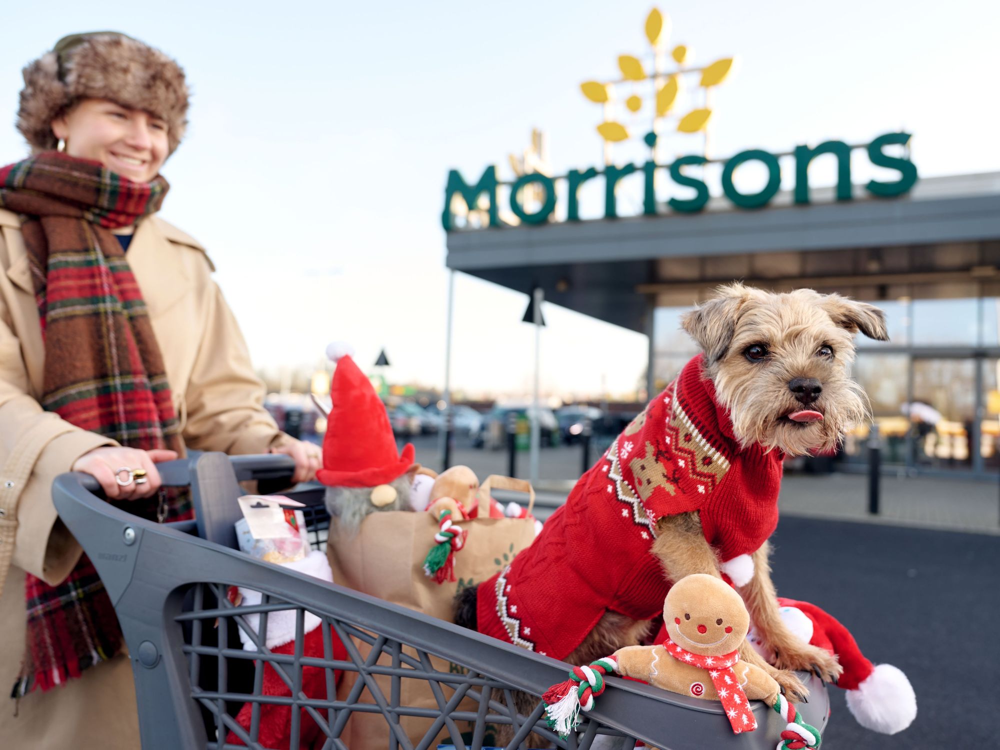Morrisons Christmas Pet Range