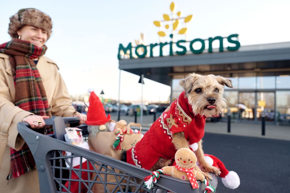 Morrisons Christmas Pet Range