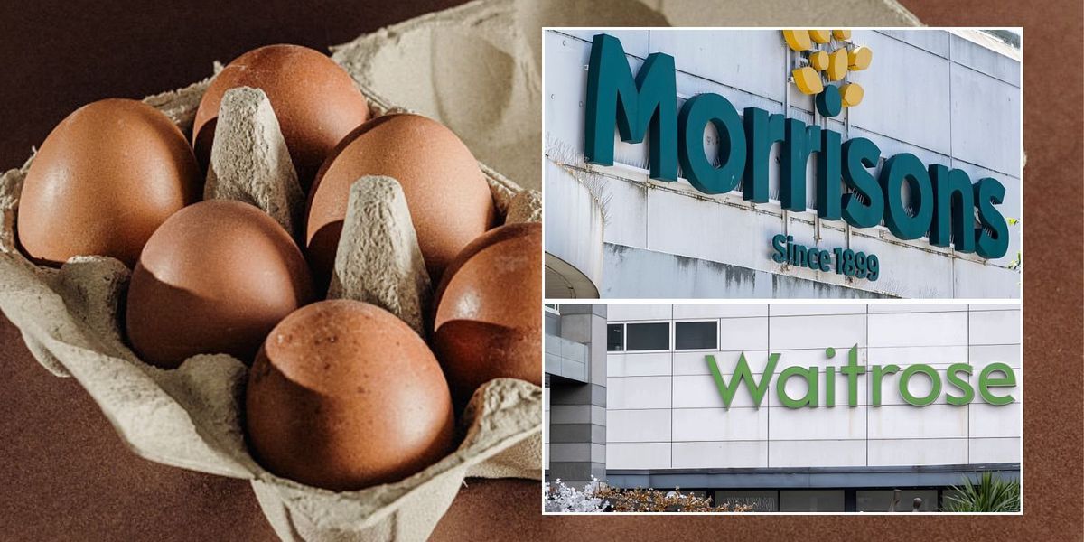 Morrisons and Waitrose pledge to keep selling brown eggs as supermarkets cave to Net Zero drive Morrisons and Waitrose pledge to keep selling brown eggs as supermarkets cave to Net Zero drive