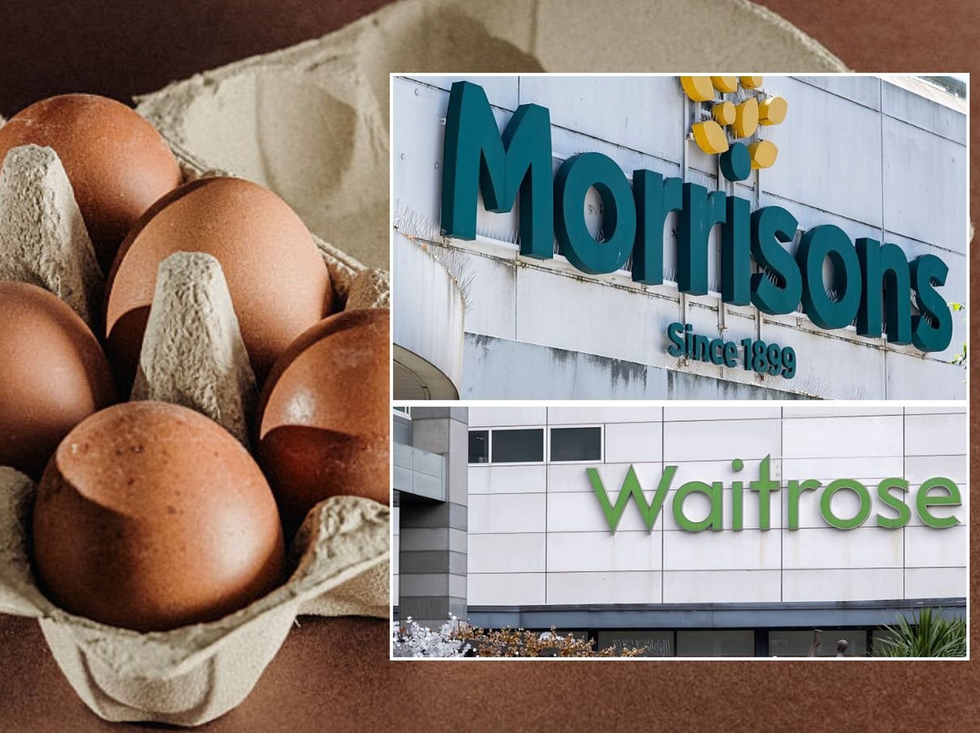 Morrisons, Waitrose, brown eggs