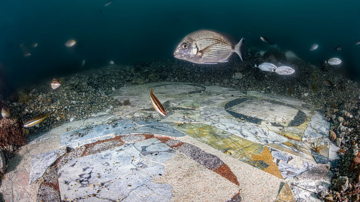 Mosaic underwater