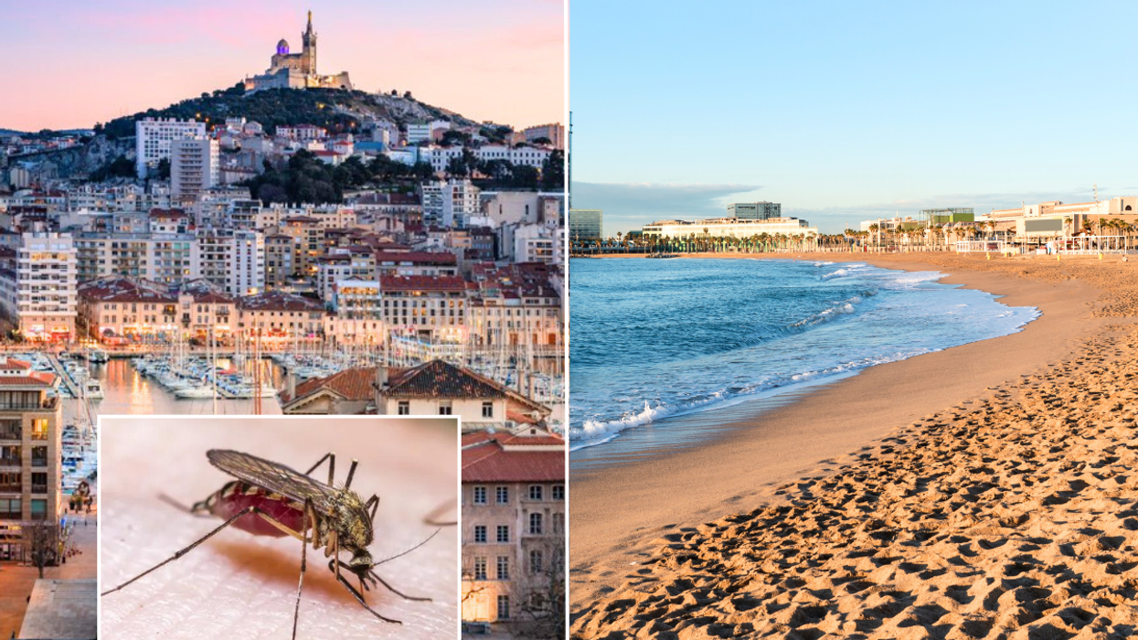 Mosquito/ France / Spain beach