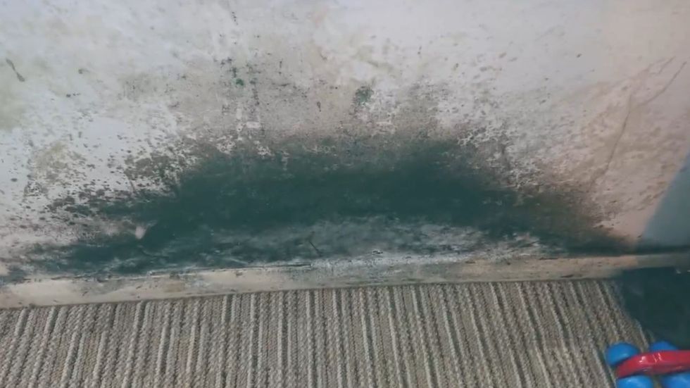Mould in home beside children's toy