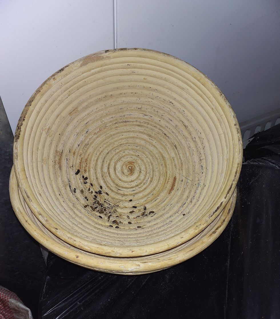 Mouse droppings foiund in the bakery
