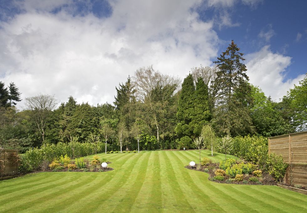 Mowed lawn in garden