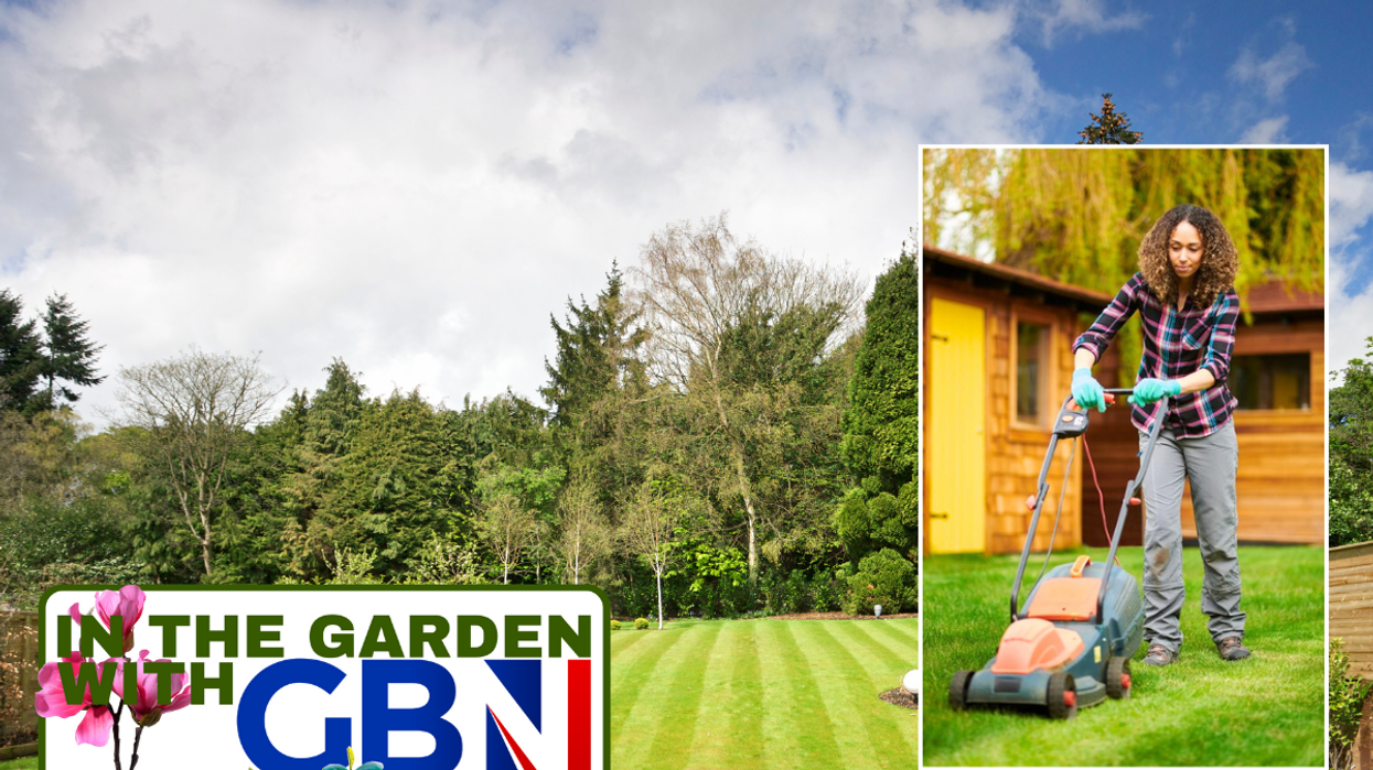 Mowing lawn / healthy lawn in garden