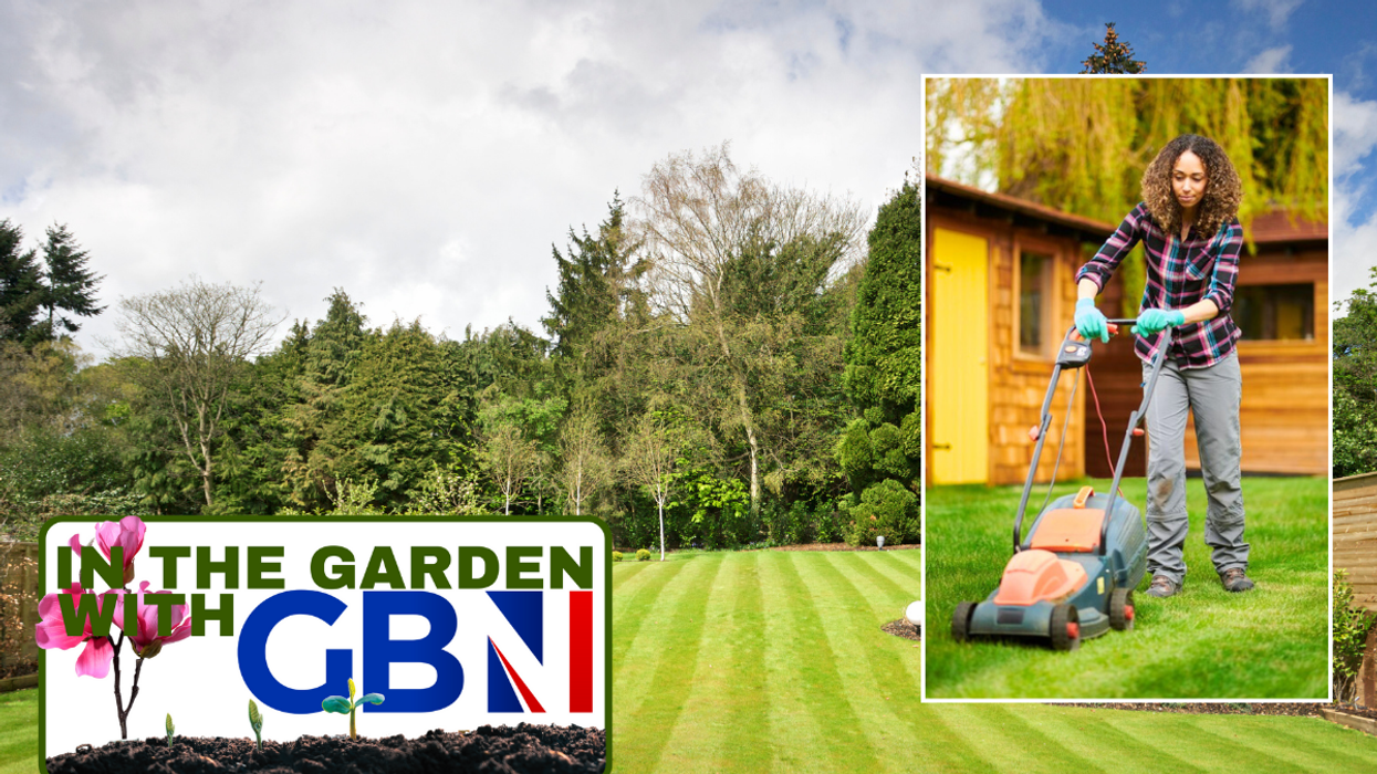 Mowing lawn / healthy lawn in garden