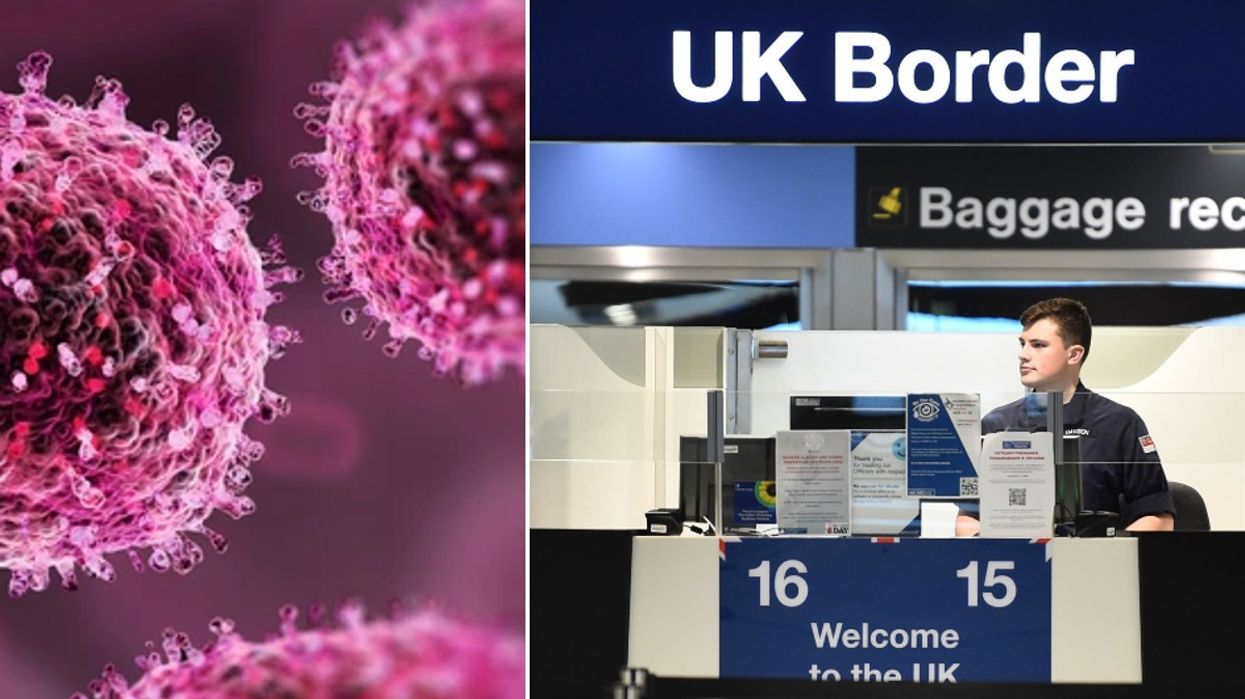 Mpox and UK border