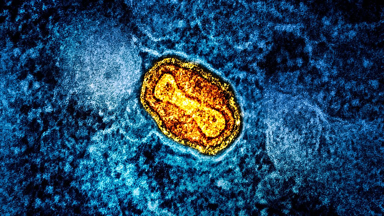 mpox under microscope
