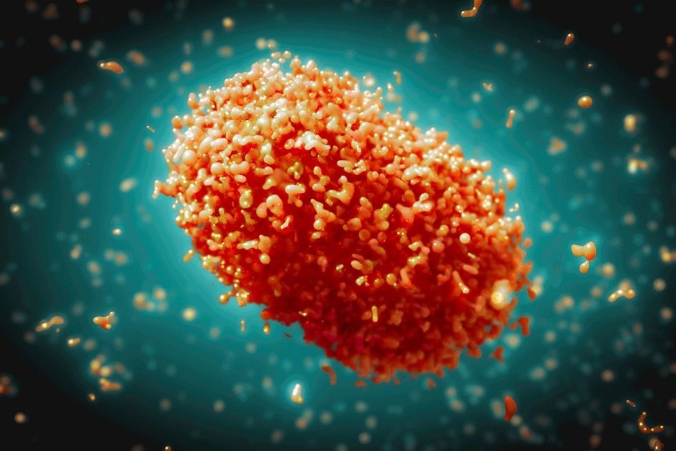 Mpox virus