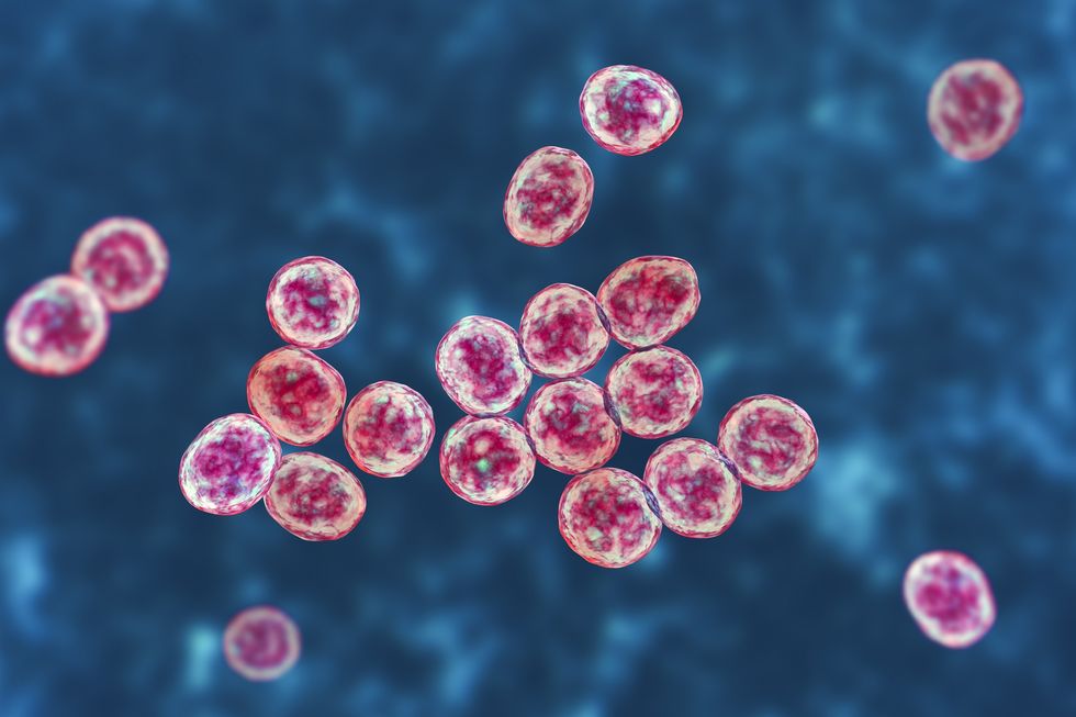 MRSA bacteria, illustration