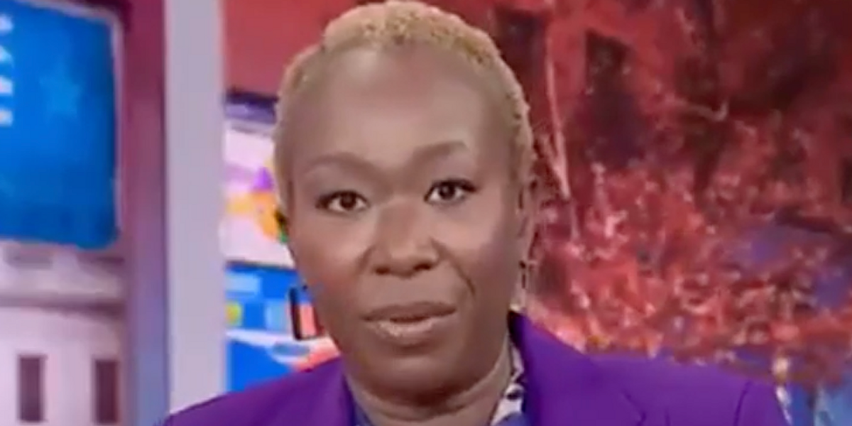 NextImg:WATCH: MSNBC anchor claims Kamala Harris ran a 'flawless' campaign after resounding defeat