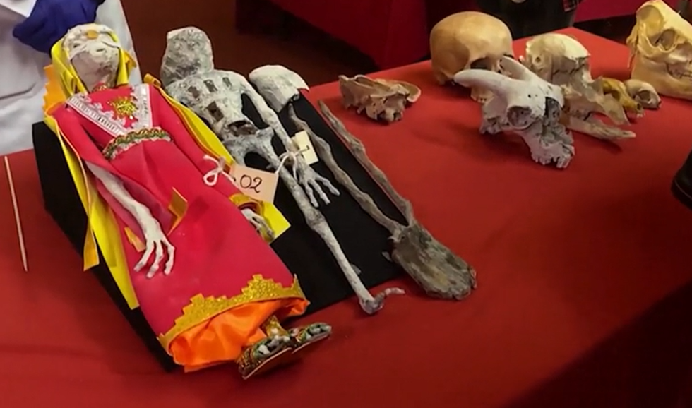 Mummified "aliens"