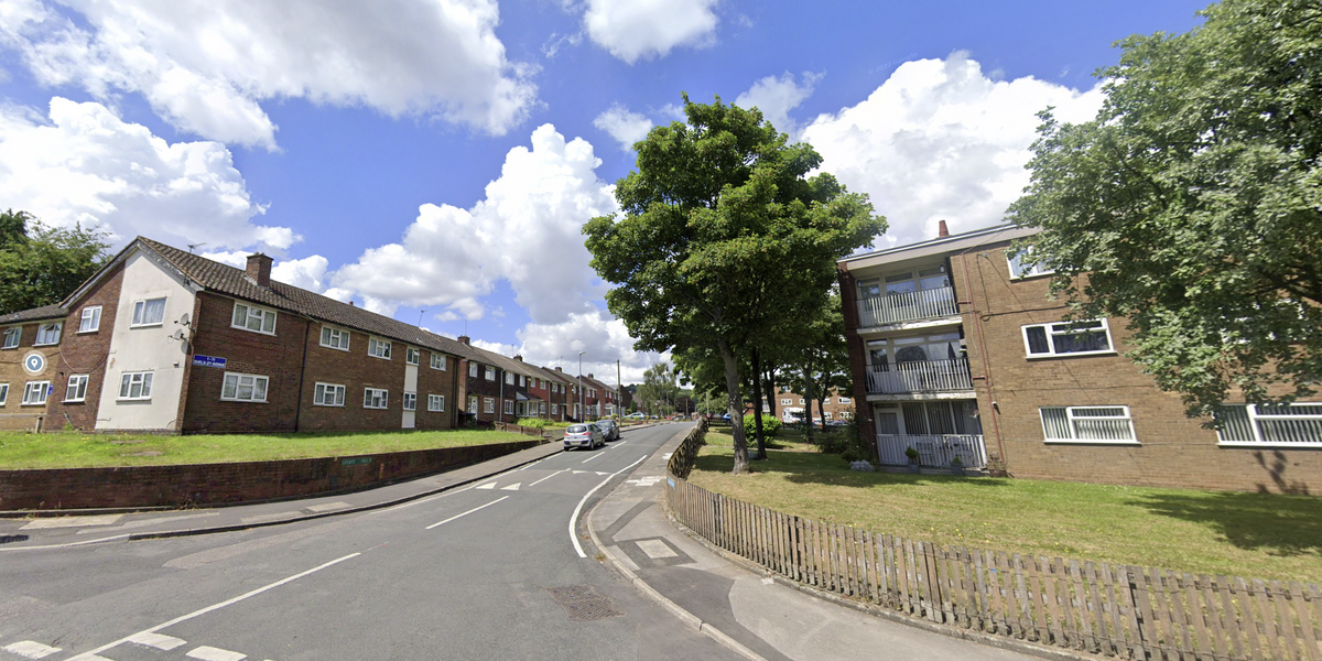 NextImg:Murder investigation launched after boy, 13, stabbed to death