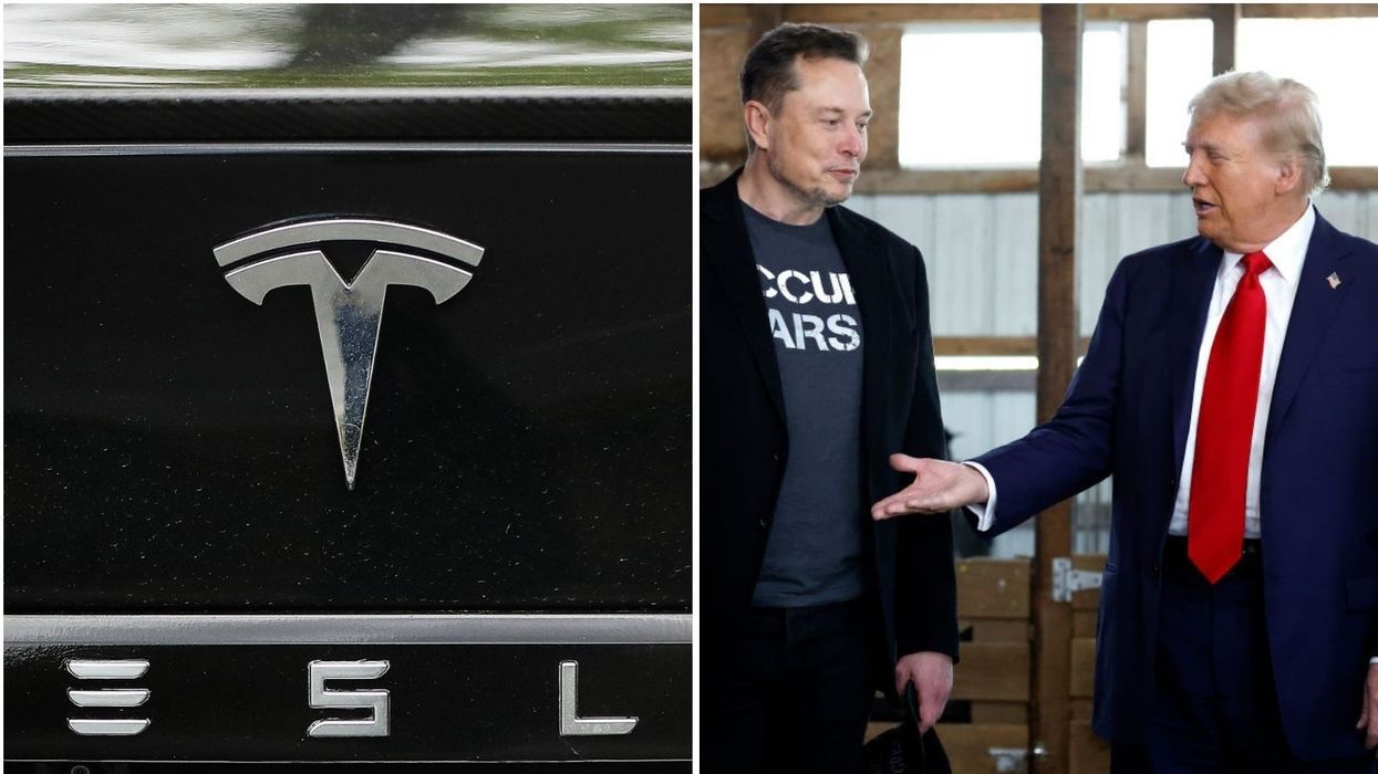 MUSK AND TRUMP