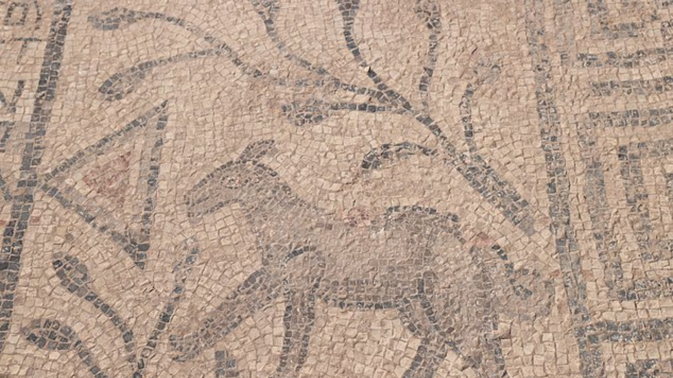 Mysterious Christian mosaic discovered in Turkey