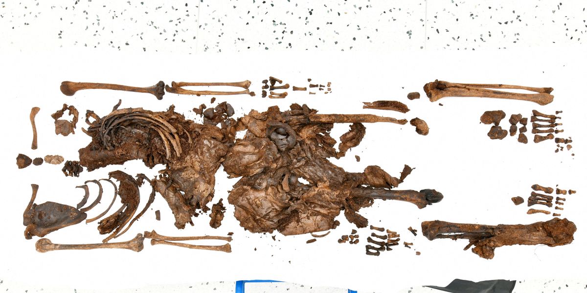 NextImg:Archaeologists find incredible human remains dating back 2,500 years in middle of boggy water