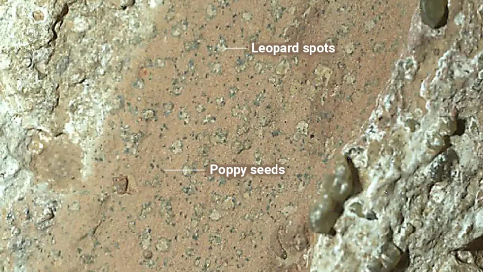 Mysterious marking photographed by the Perseverance rover