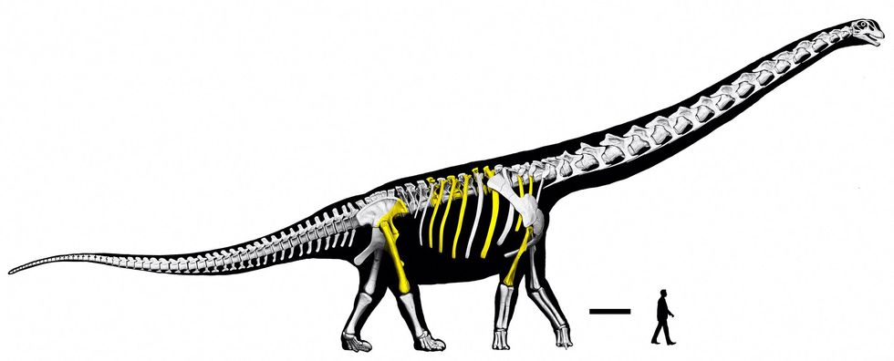 Nagatitan compared to human size