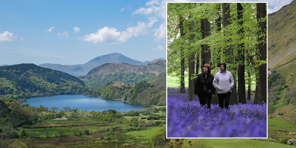 NextImg:The best UK spots for an autumn walk will have you 'reaching for your camera every five minutes' - with routes suitable for all abilities