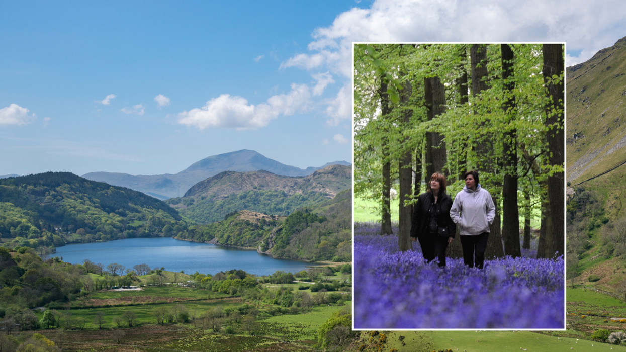 Nant Gwynant / people walking in Ashridge