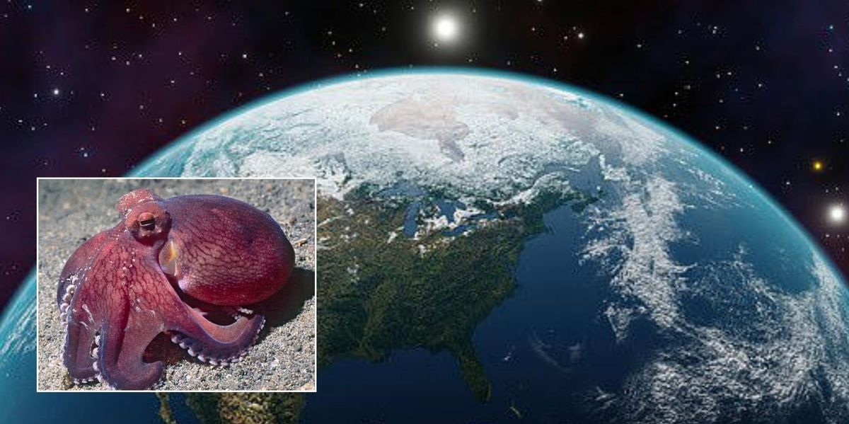 NextImg:Science breakthrough as experts reveal which creature will 'take over the world' after humans die