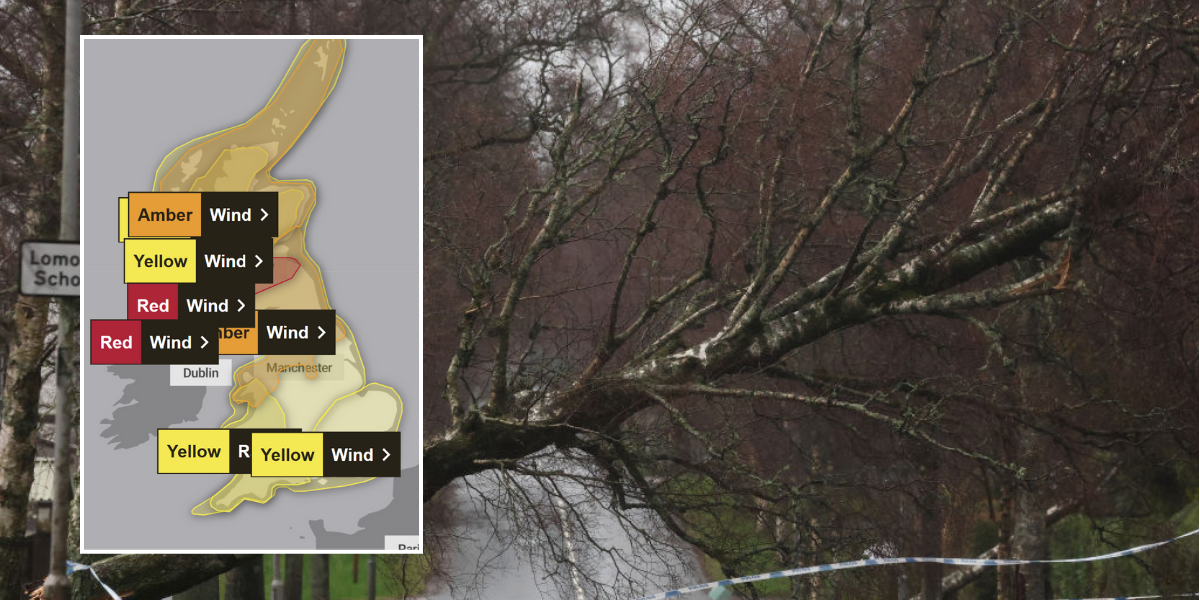 NextImg:Teenager dies in hospital after tree fell on his car during Storm Eowyn