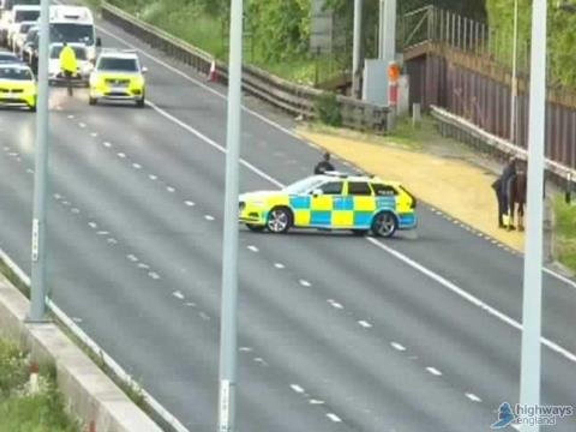 National Highways has warned that drivers could face some delays after animals were caught on the motorway